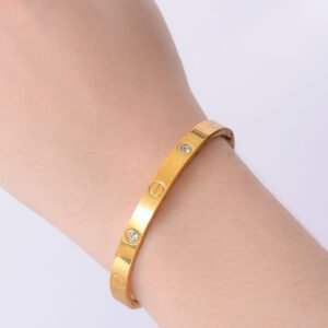 Golden Plane Bracelet Znb1005