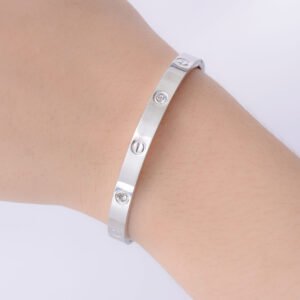 Silver Plane Bracelet Znb1001